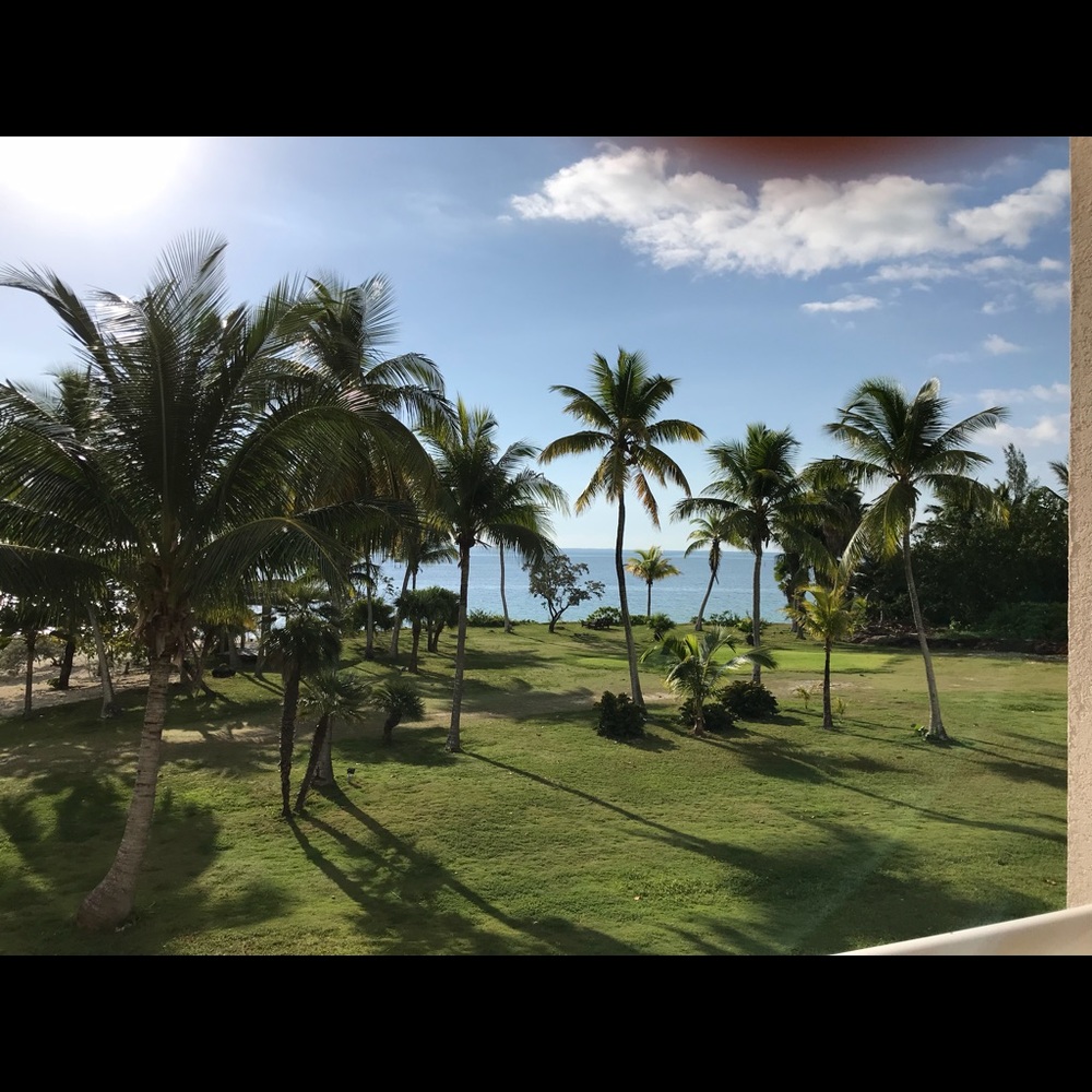 Meet your Posher, Cathie